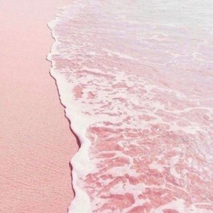 Meet your Posher, Samara